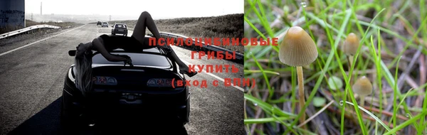 прущие крисы Верхнеуральск