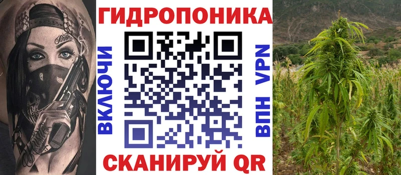 MEGA tor  закладки  Высоцк  Конопля VHQ 